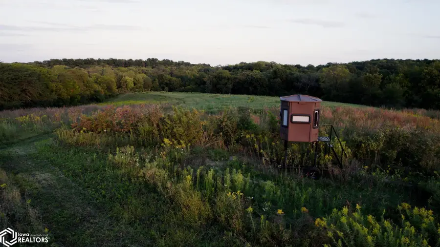 Ashland Avenue, Bussey, IA 50044 - Image #2