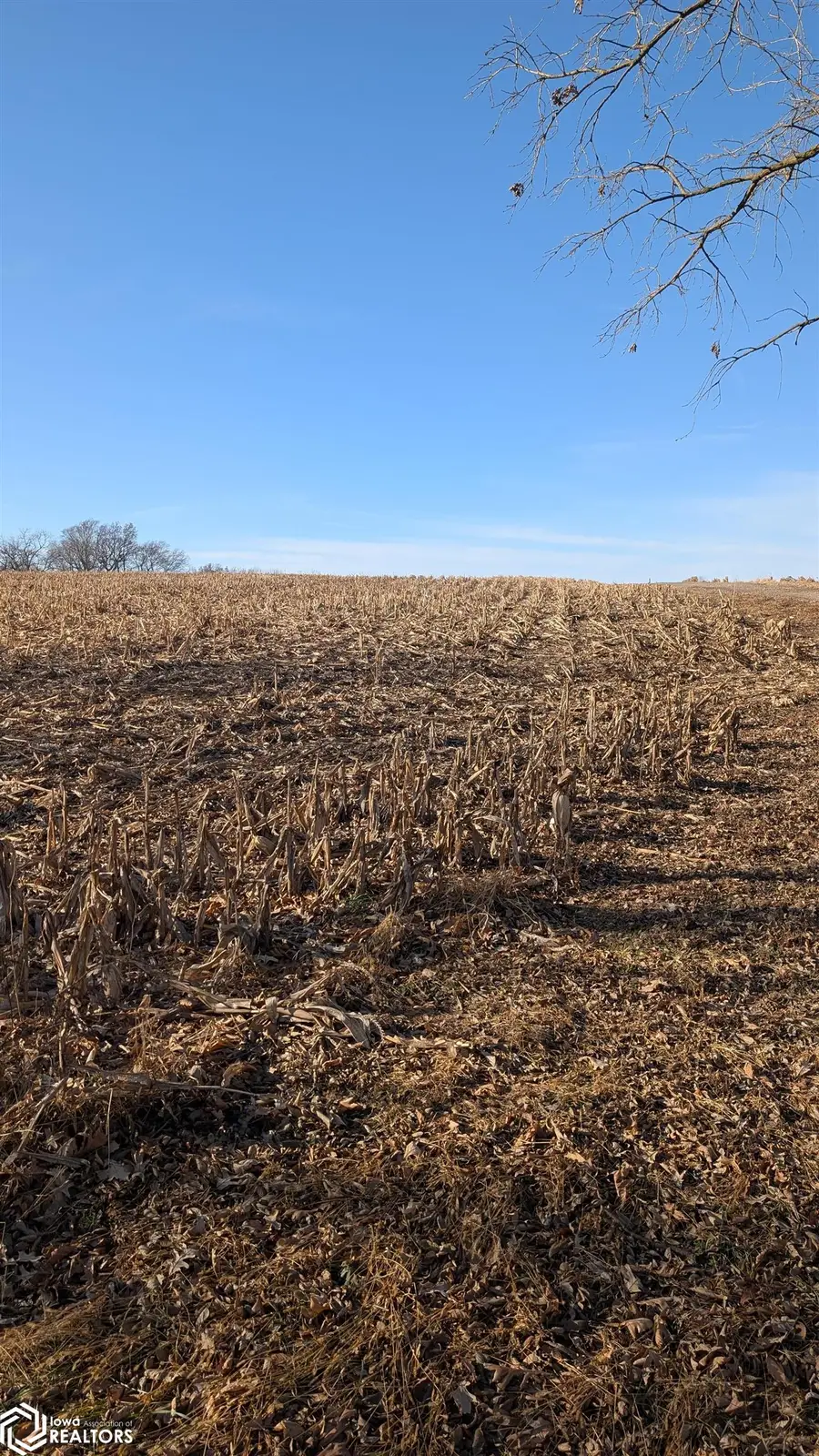 100 Wilson Street, Sidney, IA 51652 - Image #3