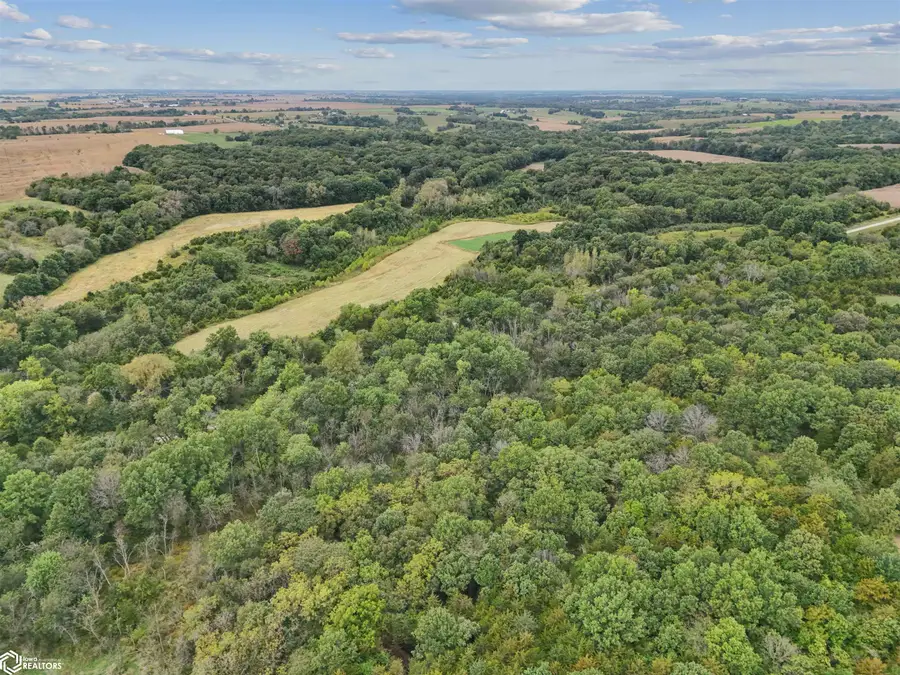 TBD Gray Avenue, Cantril, IA 52542 - Image #3