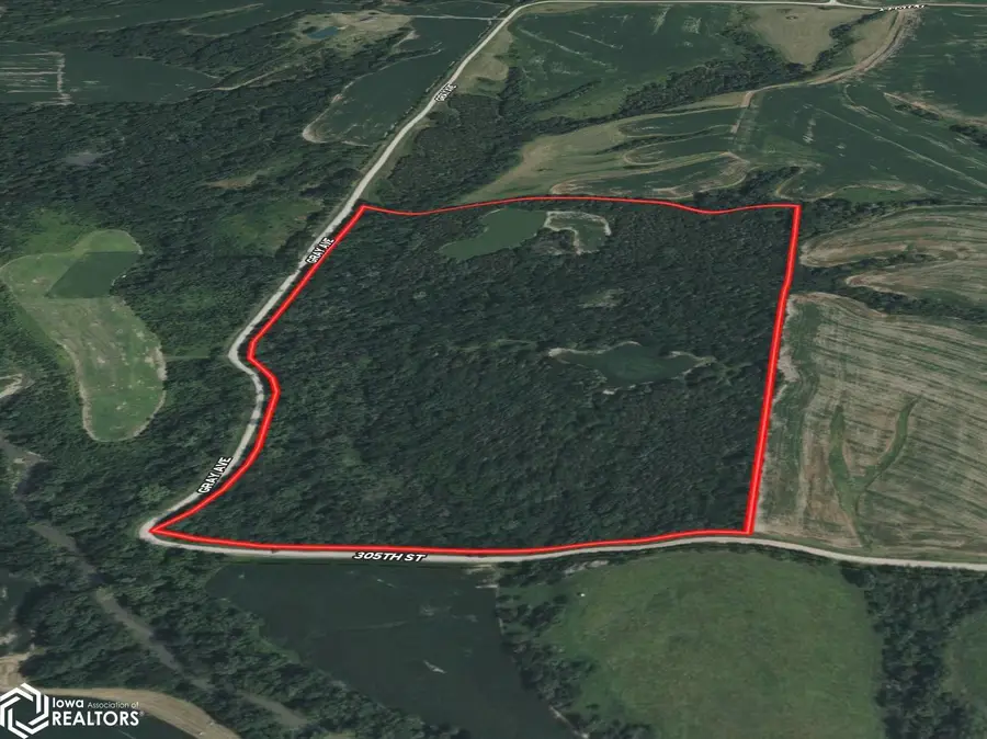 TBD Gray Avenue, Cantril, IA 52542 - Image #2