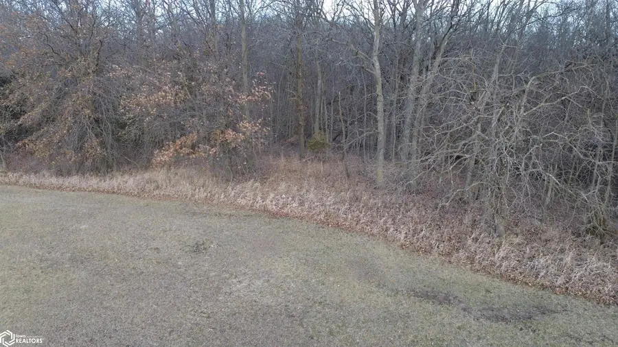 4 Early Bird, Bloomfield, IA 52537 - Image #3