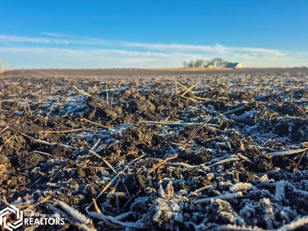 Highway 44, Grand Junction, IA 50107 - Image #1