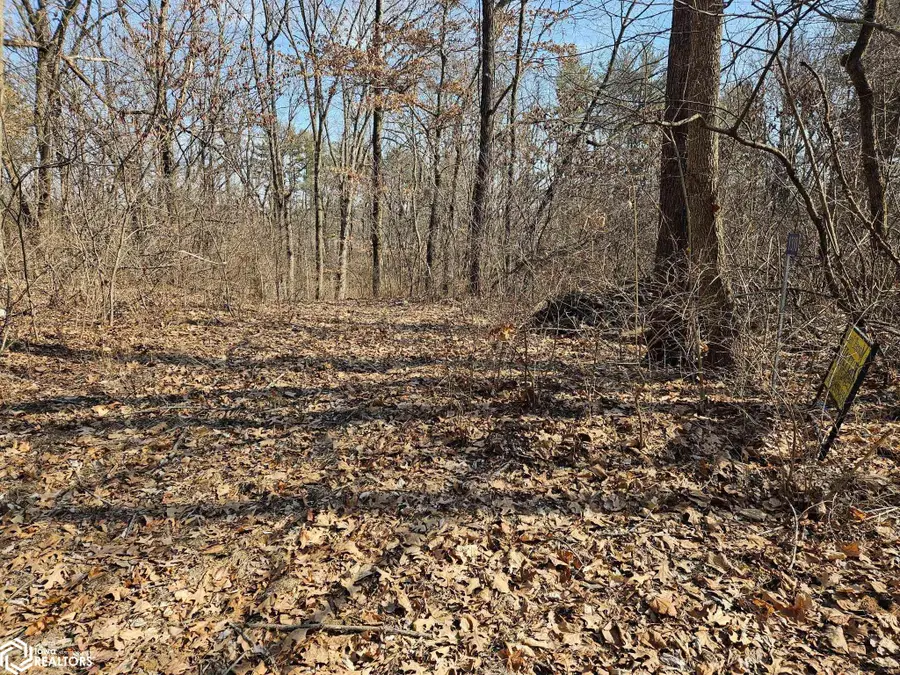 1310 Pine Ridge Ln., Mount Pleasant, IA 52641 - #3