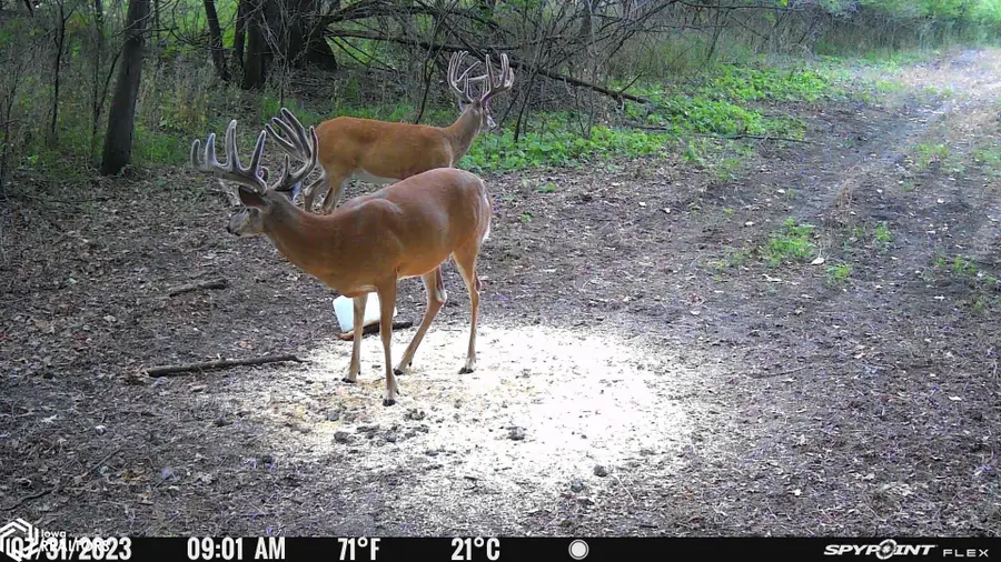 TBD Clayton Avenue, Mount Pleasant, IA 52641 - #2