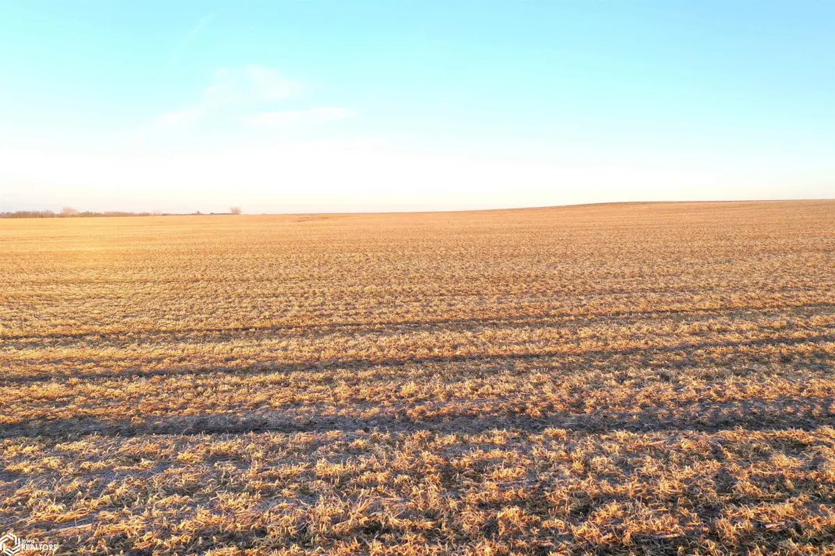 Vine Avenue, Mason City, IA 50401 - #1