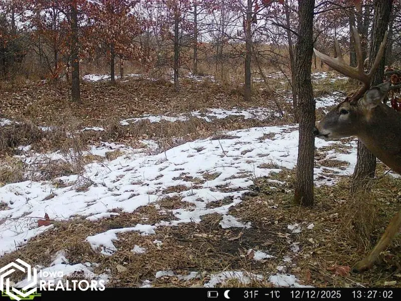 0000 200th Street, Kellerton, IA 50133 - #3