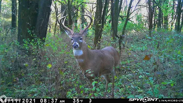 15th St, Blakesburg, IA 52536