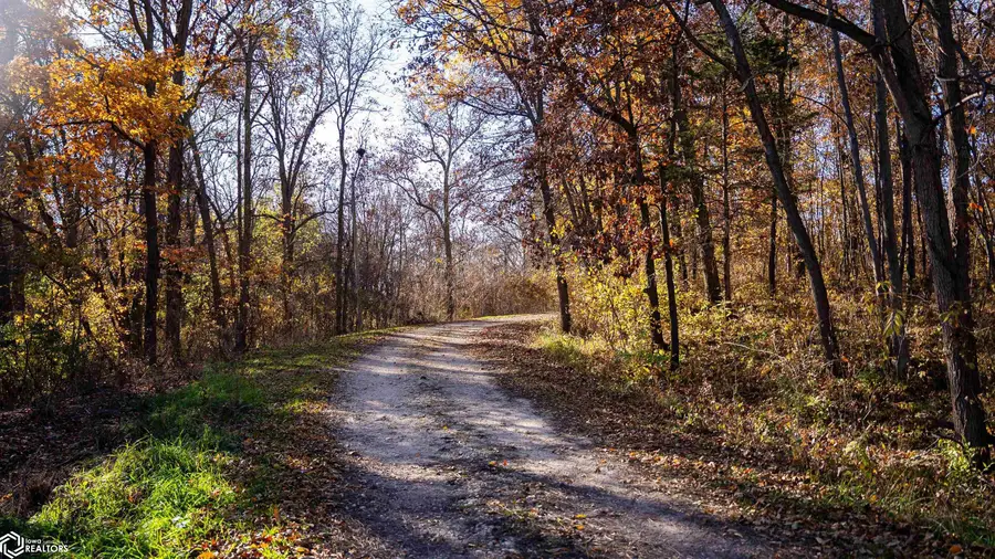 439 Delta Avenue, Mechanicsville, IA 52306 - #2