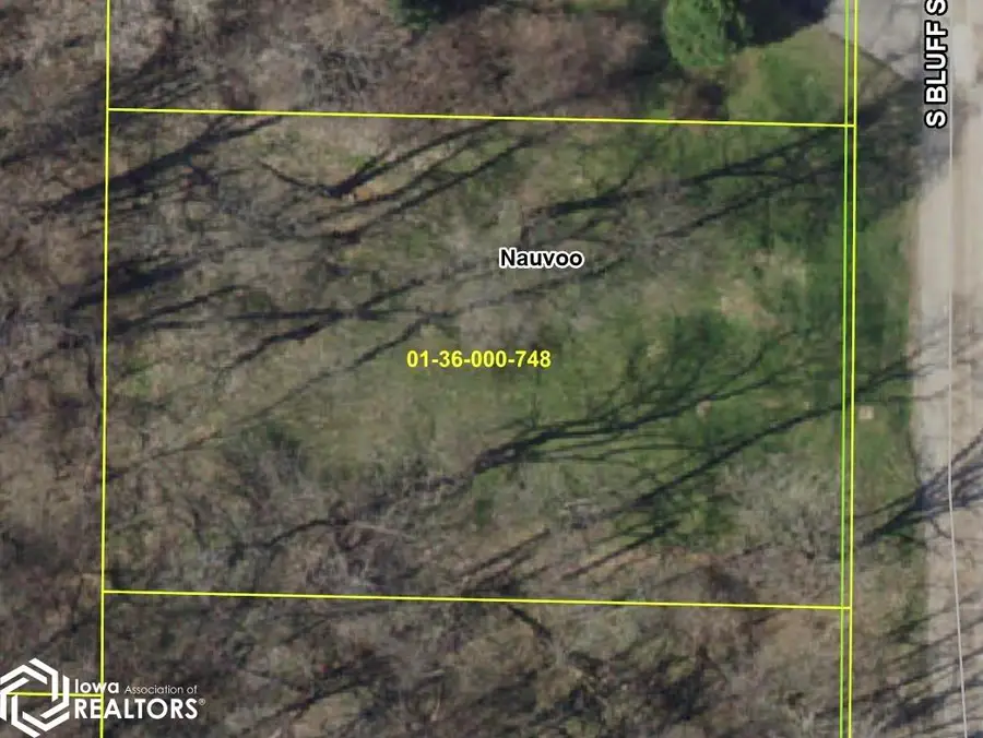 S Bluff, Nauvoo, IL 62354 - #2