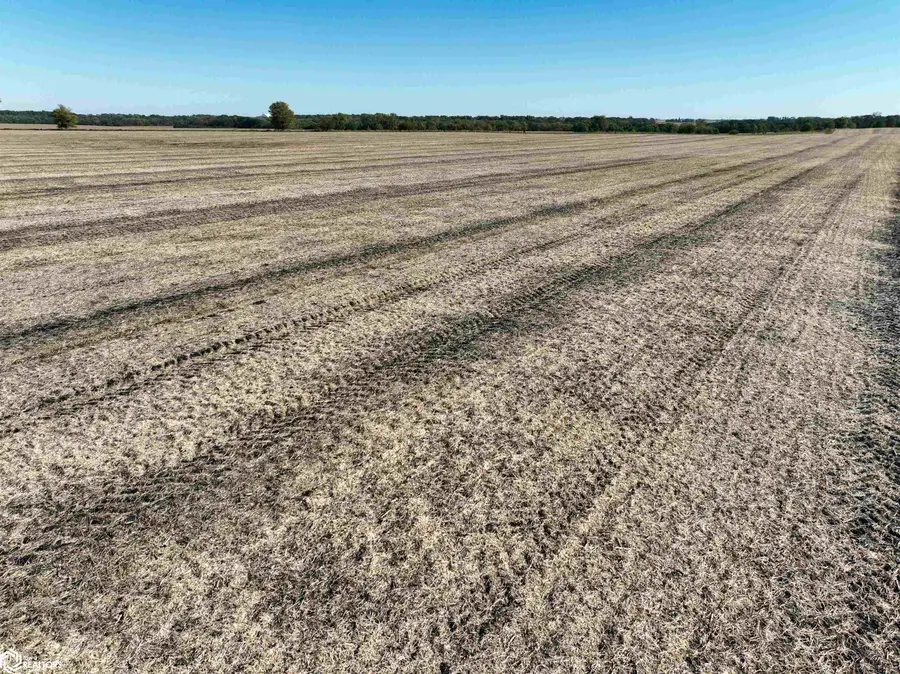 Fisher Avenue, Webster City, IA 50595 - #3
