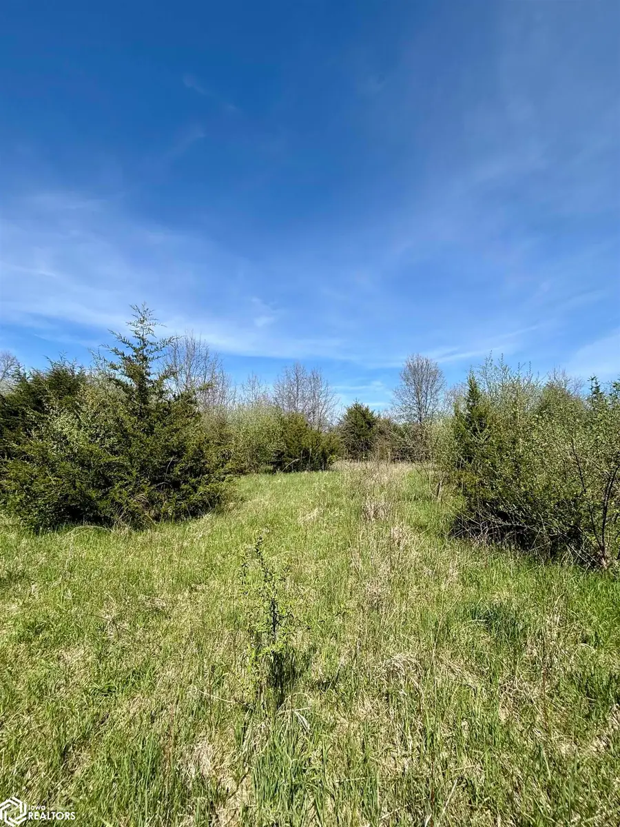 River Road And Kentucky Avenue, Mount Pleasant, IA 52641 - #3