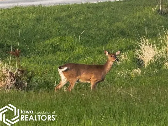 Lot 42 Parkside Knolls, Moravia, IA 52571 - #3