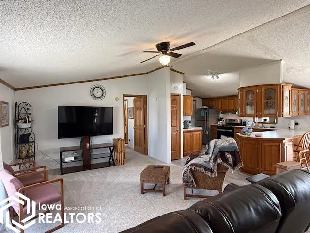 502 S Hosta Avenue, Mount Pleasant, IA 52641 - #2