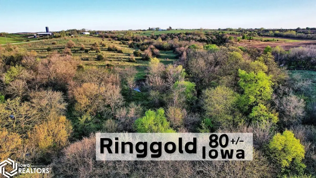 TBD Hwy. 169, Mount Ayr, IA 50854 - #1
