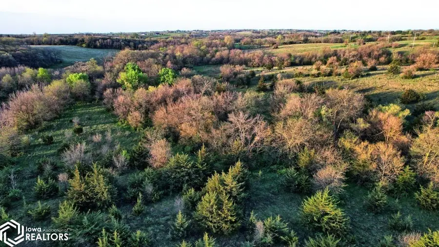 TBD Hwy. 169, Mount Ayr, IA 50854 - #3