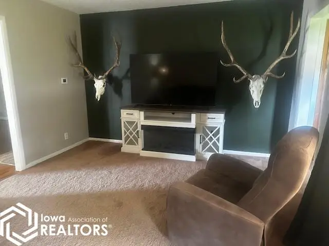 509 SW 2nd Street Sw, Britt, IA 50423 - #3