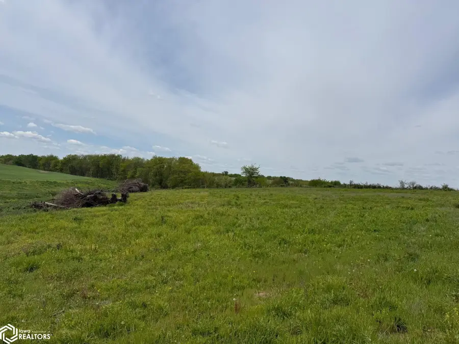 0001 215th Street, Bloomfield, IA 52537 - #3