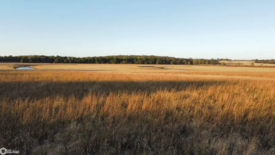 295th Street, Brighton, IA 52540 - #3