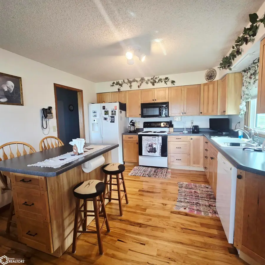 1307 Irvine Avenue, New Sharon, IA 50207 - #2