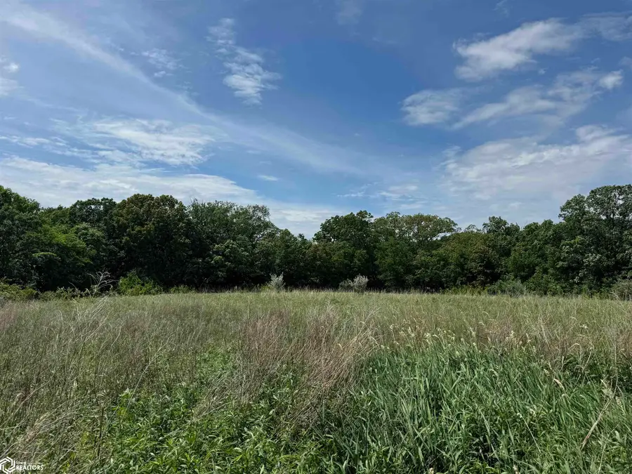 Magnolia Lane, Danville, IA 52623 - #3