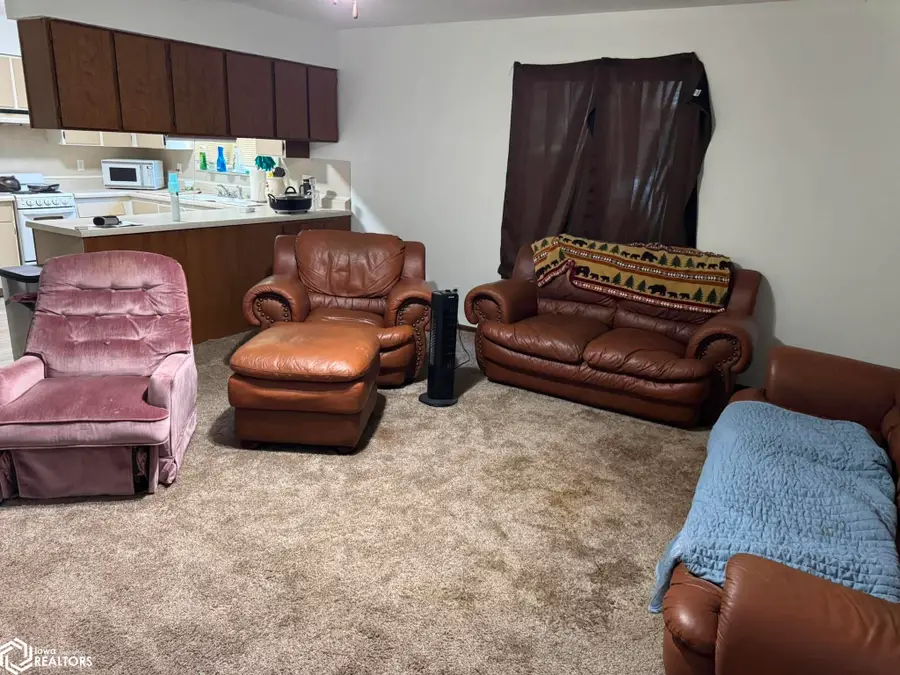 309 Cass Street, Keosauqua, IA 52565 - #2