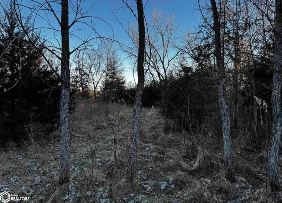 Gray Avenue, Cantril, IA 52542 - #3