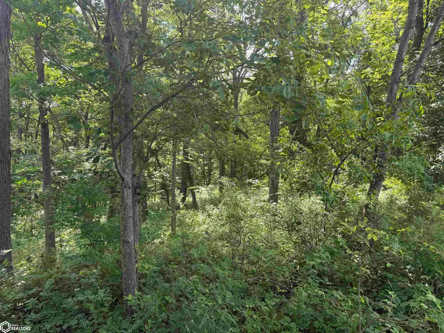 125 Th Street, Fairfield, IA 52556 - #3