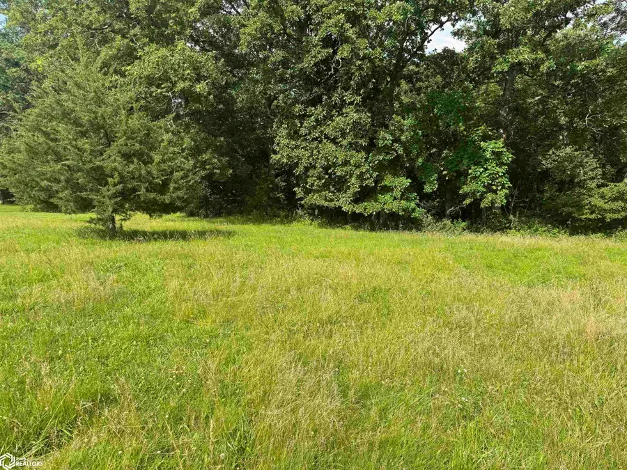 Unk Peach Avenue, Keosauqua, IA 52565 - #2