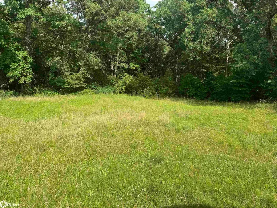Unk Peach Avenue, Keosauqua, IA 52565 - #3
