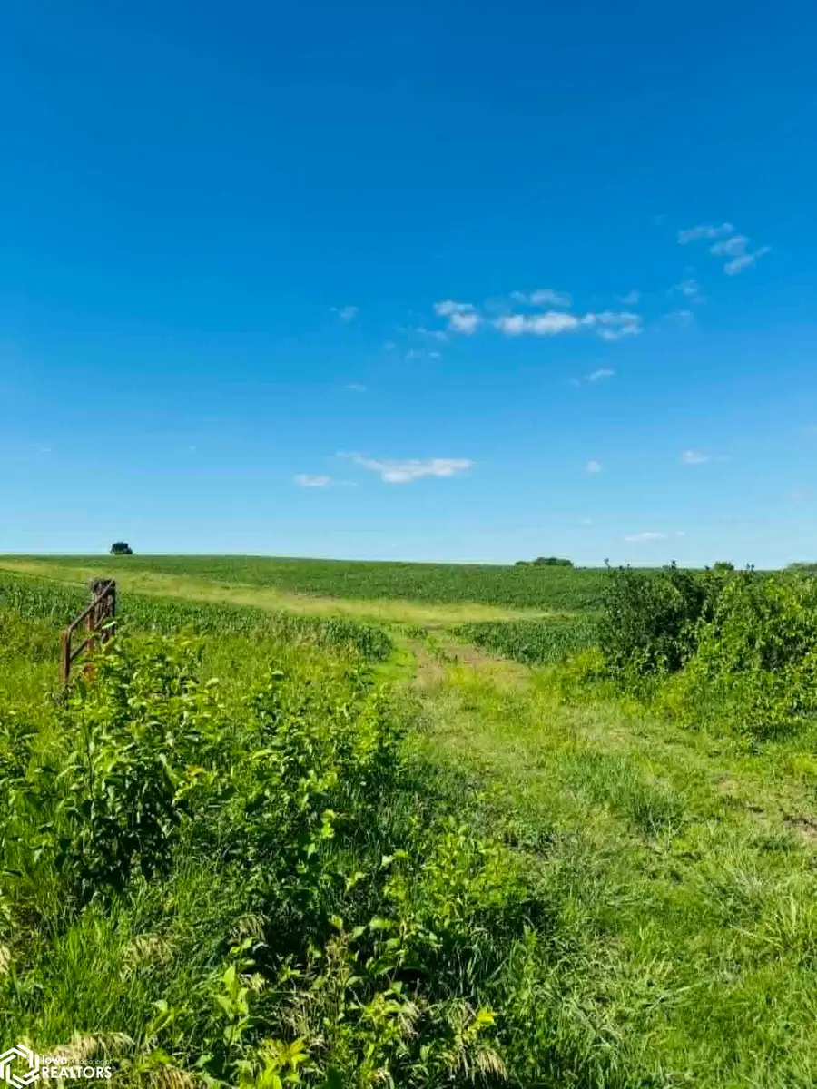 0 260th Street, Rice, IA 50860 - #2