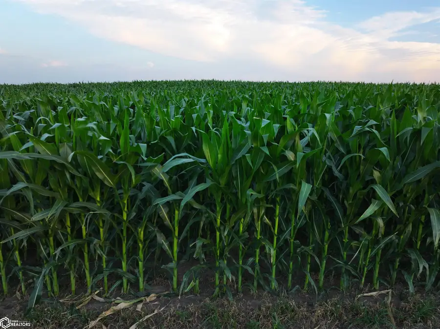 160th Road, Yale, IA 50277 - #3