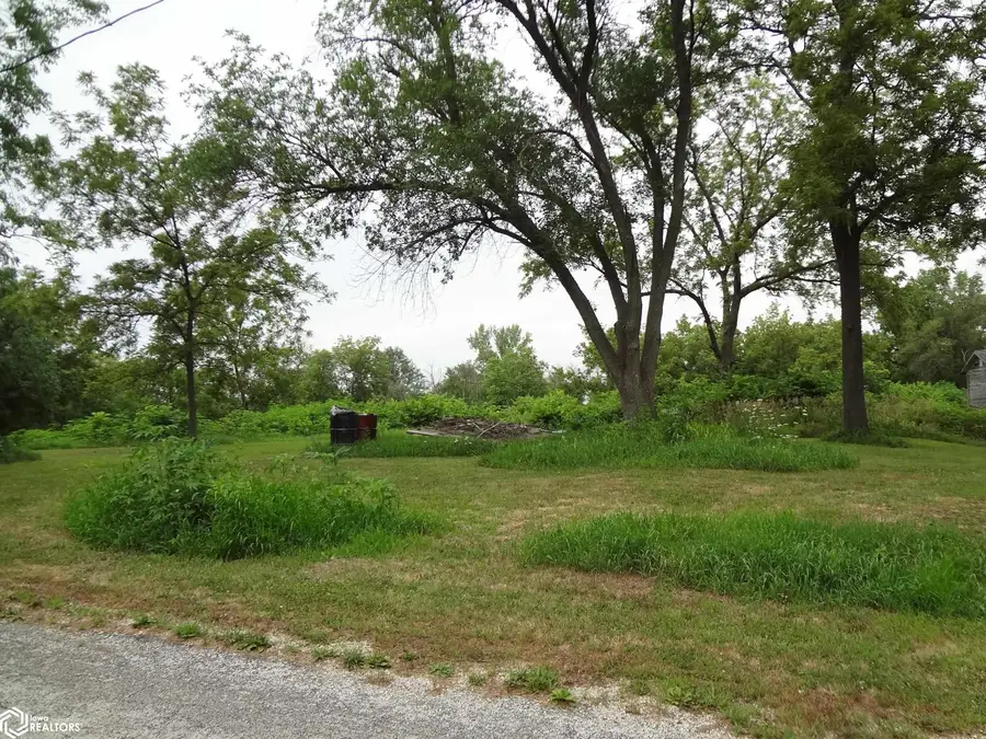 208 First Street, Shambaugh, IA 51651 - #3
