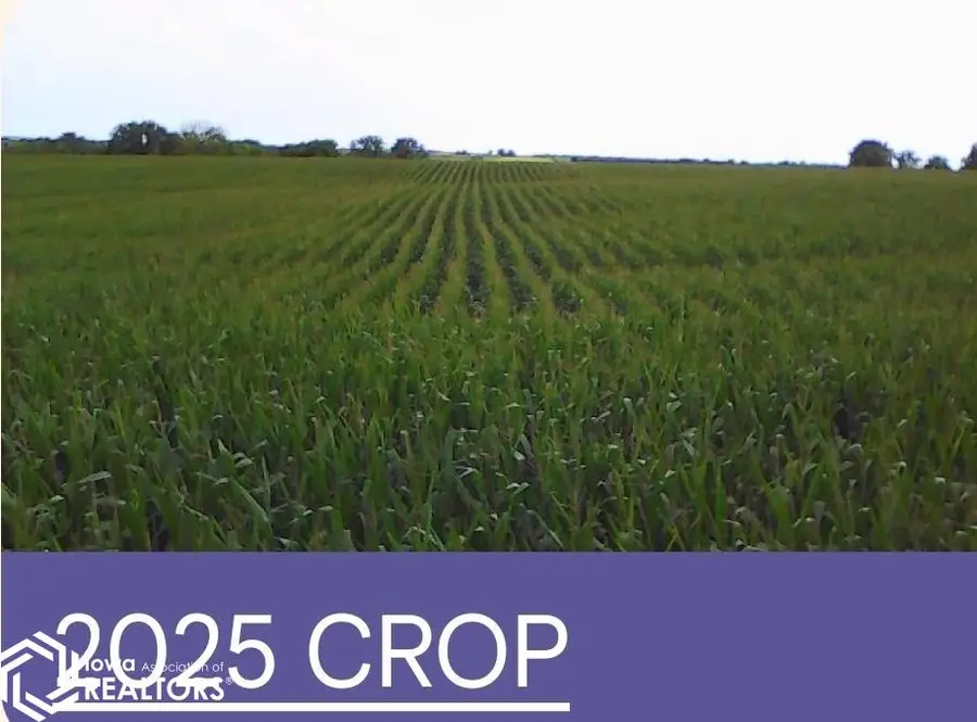 80 325th Avenue, Ellston, IA 50074 - #2