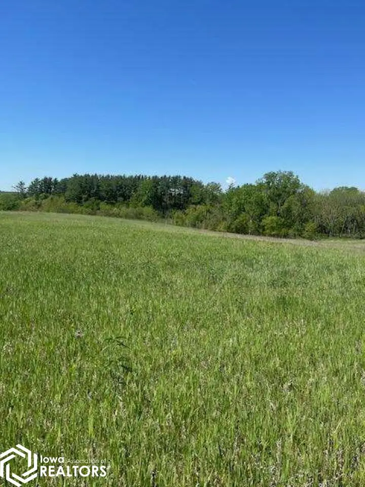 80 325th Avenue, Ellston, IA 50074 - #3