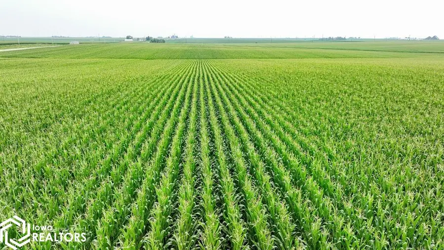 29443 Ia-14, Conrad, IA 50621 - #3