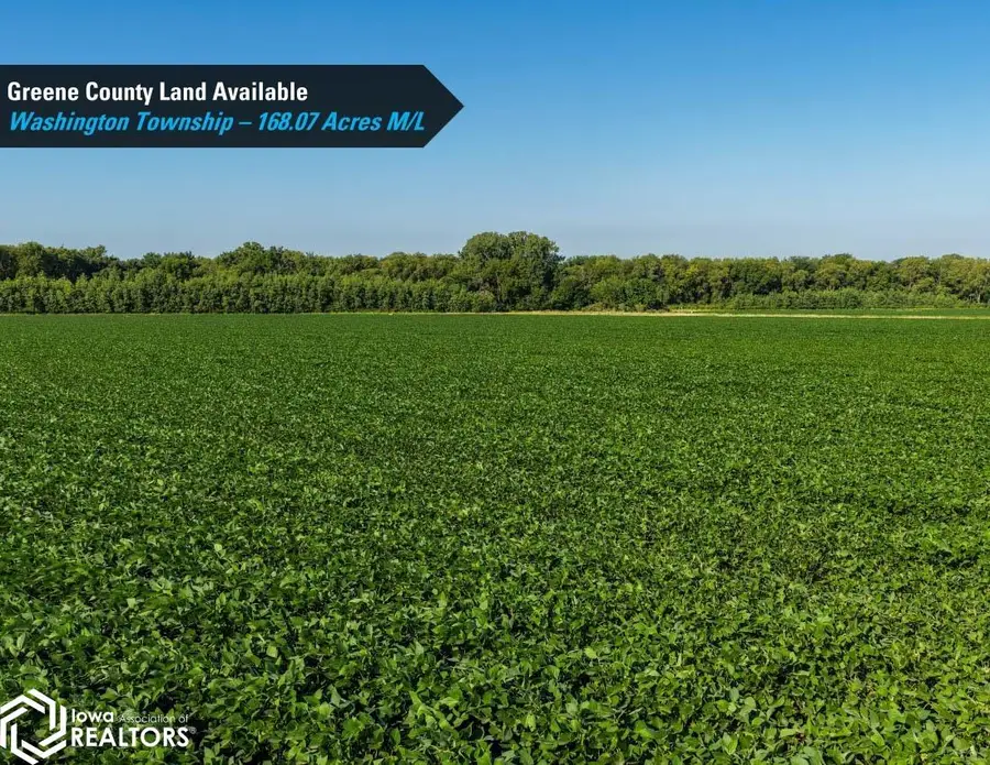 Terrace Avenue, Rippey, IA 50235 - #3