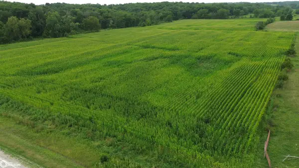 21 Acres Timber Avenue, Bloomfield, IA 52537