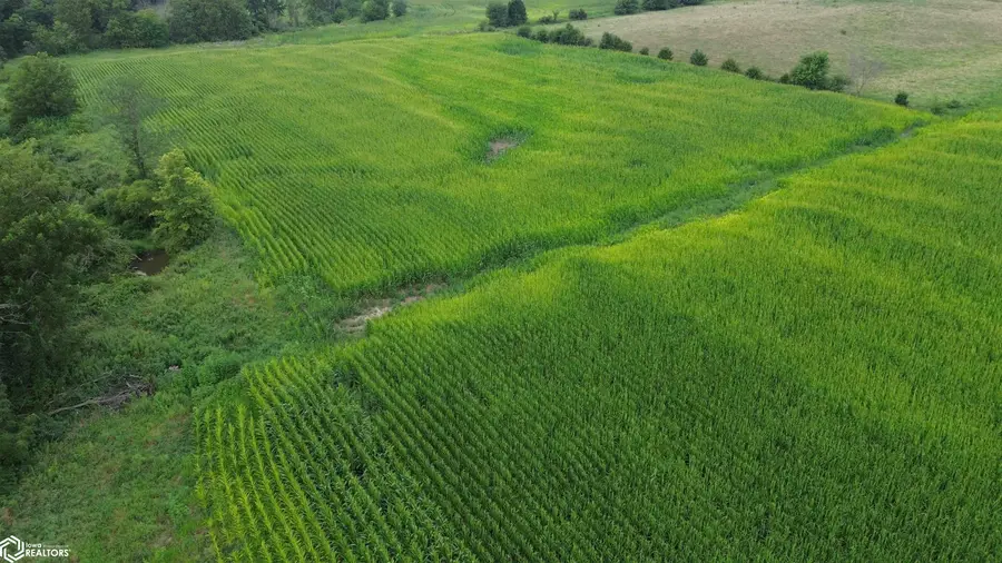 21 Acres Timber Avenue, Bloomfield, IA 52537 - #3