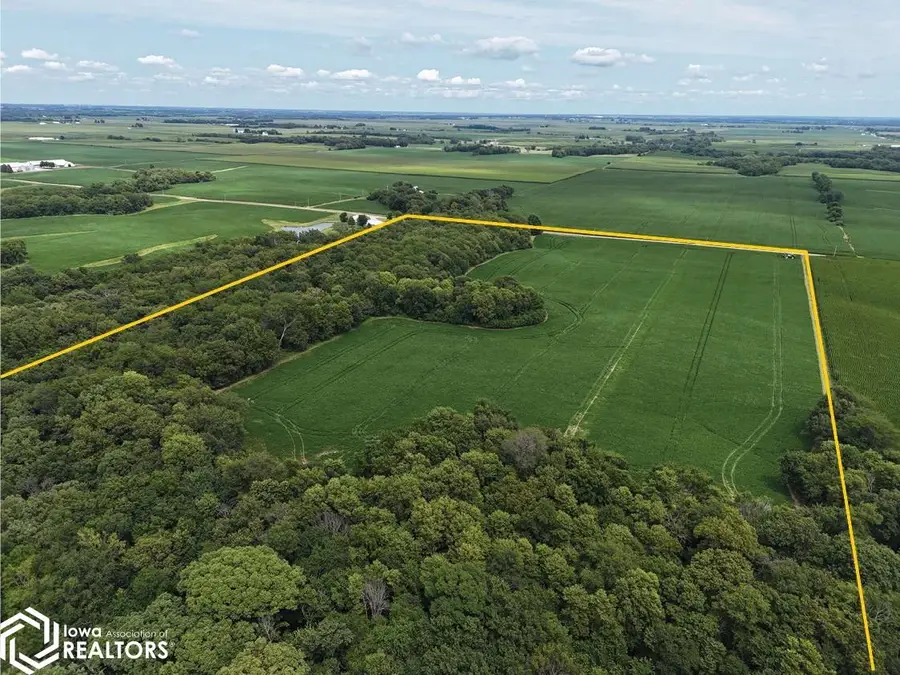 115th Street, Joy, IL 61260 - #2
