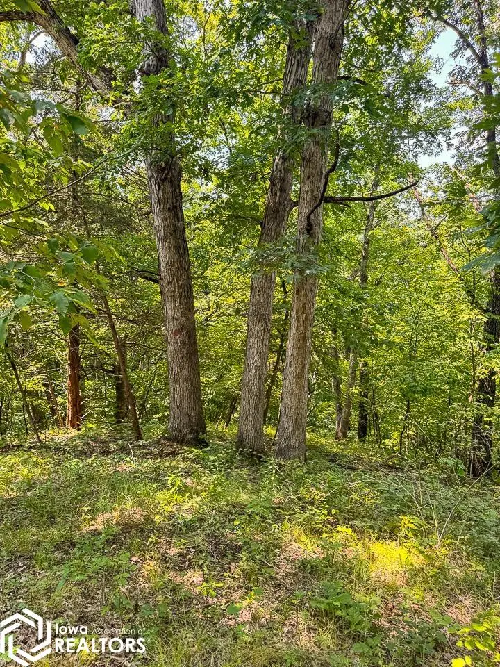 0000 Woodland Heights Road, Fort Madison, IA 52627 - #2