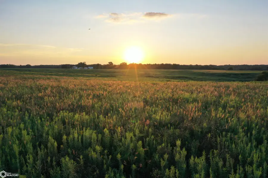 Monroe Wapello Road, Blakesburg, IA 52536 - #2