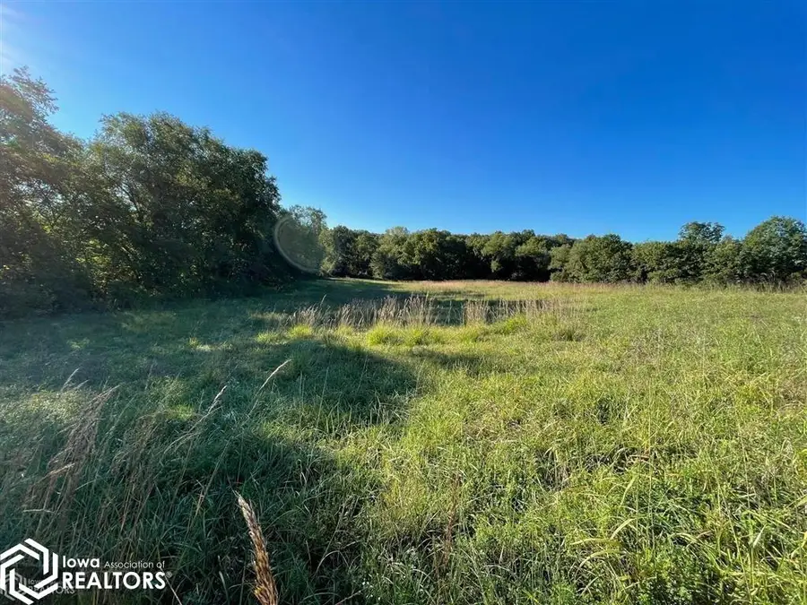 33 Acres 240th Avenue, Centerville, IA 52544 - #3