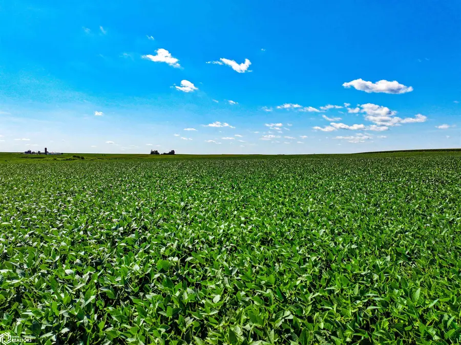 P Avenue, Maynard, IA 50655 - #2