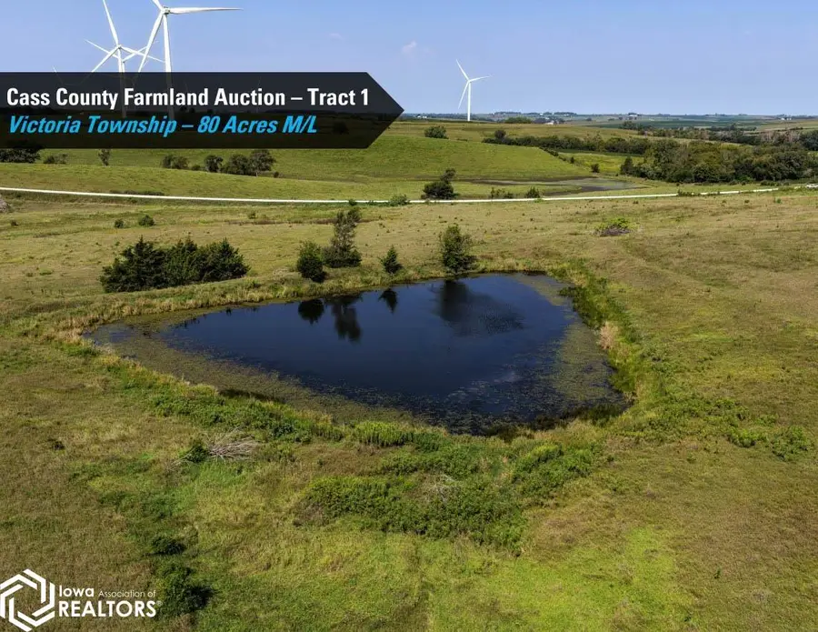 Victoria Road, Massena, IA 50853 - #3