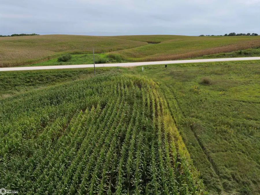 Kornhill Road, Smithfield, IA 52142 - #2