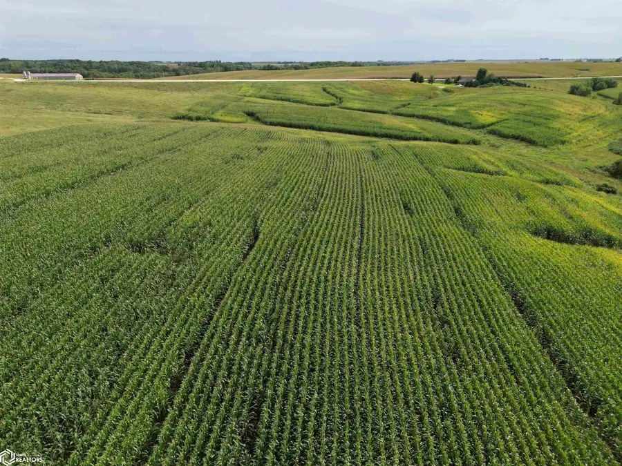 Kornhill Road, Smithfield, IA 52142 - #3