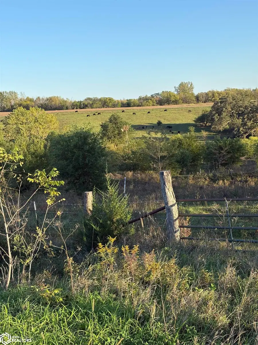 1305 250th Street, New Market, IA 51646 - #2