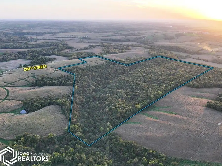 204th Street, Zwingle, IA 52079 - #3