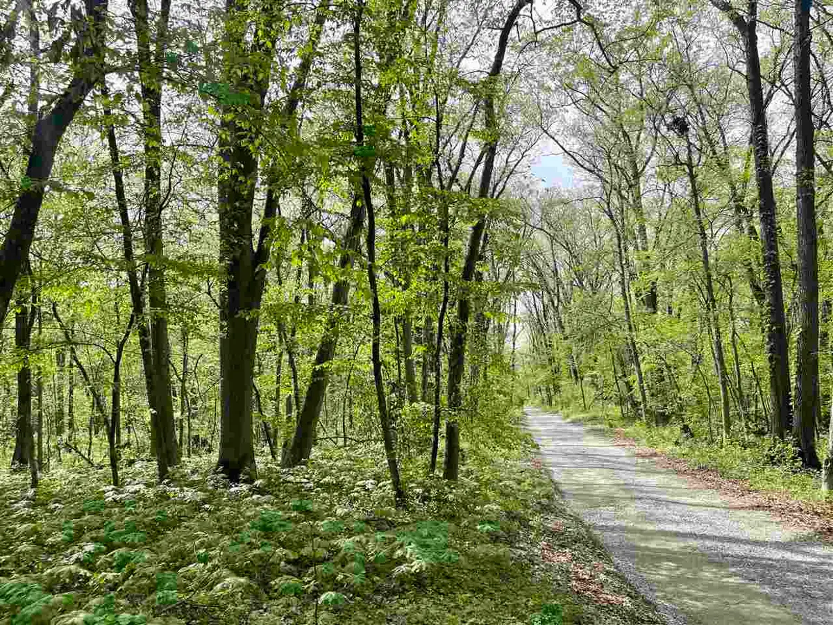 6 Acres S Park Rd, Tiffin, IA 52340 - #1