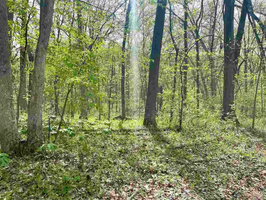 6 Acres S Park Rd, Tiffin, IA 52340 - #3